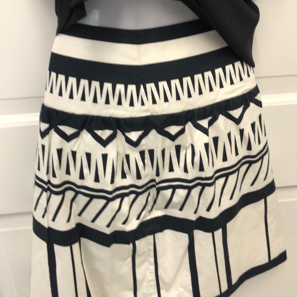 The limited skirt